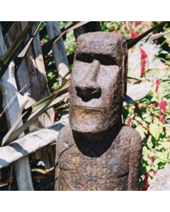 Akahanga (No Hat)