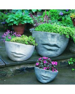 Faccia Planter, Small