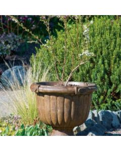 American Colonial Urn
