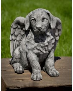 Angel Puppy