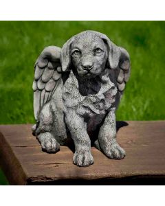 Angel Puppy