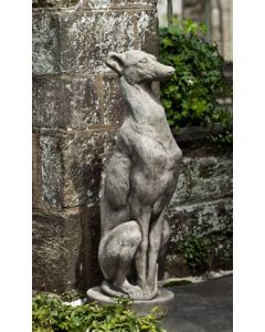 Antique Greyhound