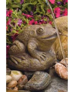 Aquatic Frog - Plumbed