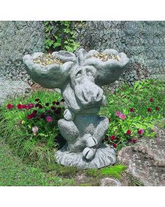 Moose Birdbath/Feeder