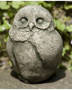 Baby Barn Owl