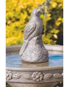 Baby Bird Sitting