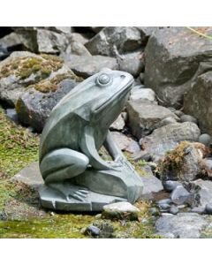 Barry Frog