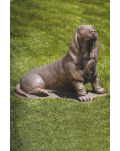 Bassett Hound N
