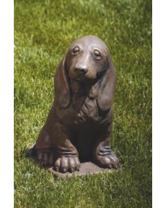 Bassett Hound Pup