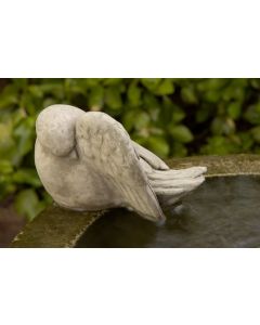 Bathing Bird