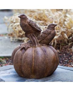 Bird on Pumpkin