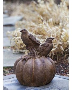 Bird on Pumpkin