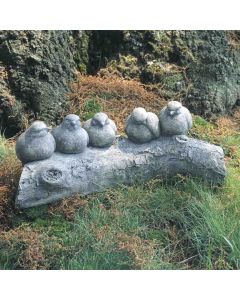Birds on a Log