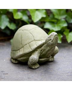 Box Turtle