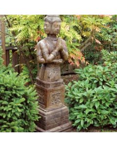 Brahma