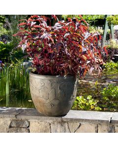 Butterfly Pot