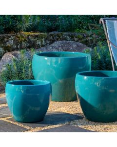Cabachon Planter - Agave