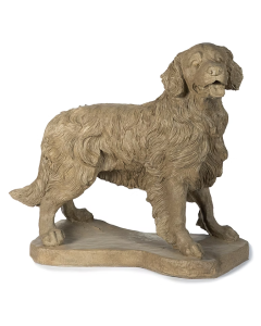 Standing Hairy Dog