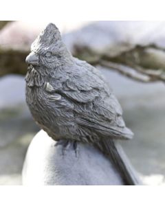 Cardinal