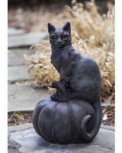 Cat on Pumpkin