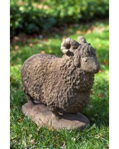Celtic Ram
