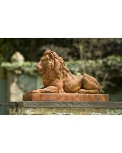 Classic Lion