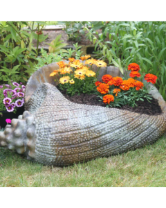 Conch Planter