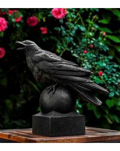 Corvus