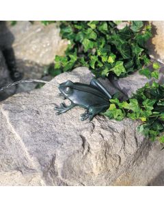 Crazy Frog