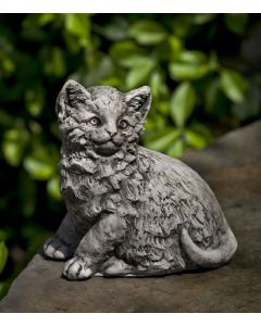 Cutie Kitty