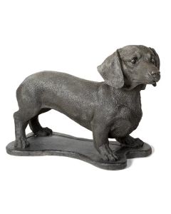 Daschund