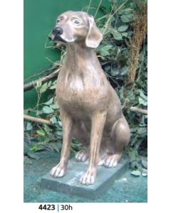 Dog 1