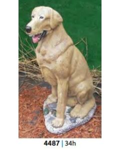 Dog 2