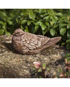 Dove
