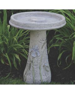 Dragonfly Bird Bath