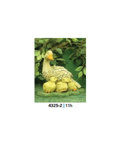 Ducks