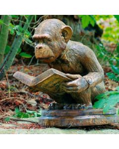 The Enlightened Ape