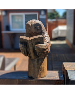 Enlightened Owl - Small