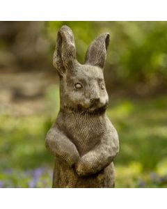 Father Rabbit