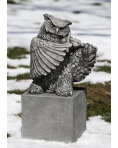 Fiddler on the Hoot