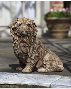 Fluffy Dog
