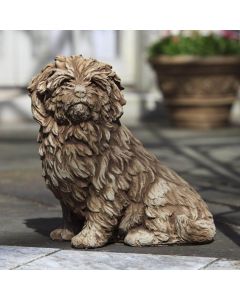 Fluffy Dog