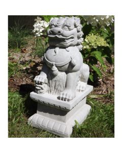 Foo Dog