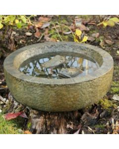 Frog Bowl