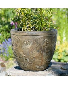 Frog Pot