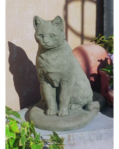 Garden Cat
