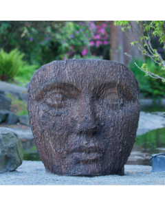 Giant Face in Bark