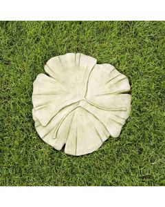 Gingko Stepping Stone