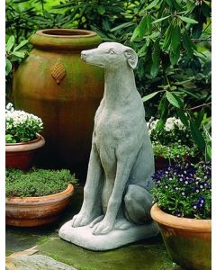 Greyhound