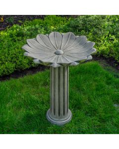 Marguerite Birdbath